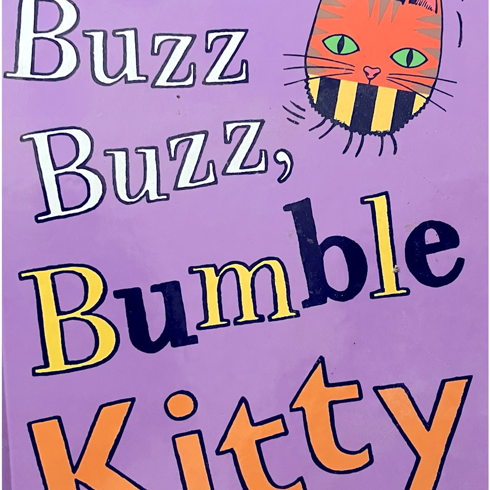 Buzz Buzz Bumble Kitty- childrens book.